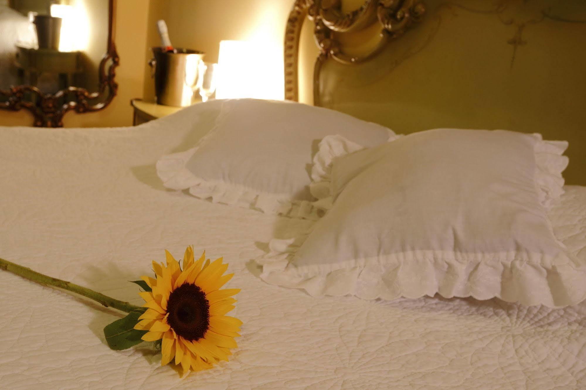 Bed & Breakfast - La Casa De Ceci Lima Zewnętrze zdjęcie